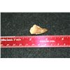 Image 2 : Mosasaurus Tooth