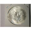 Image 2 : 1986 SILVER EAGLE