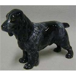 A blue roan Cocker Spaniel, HN 1021, height