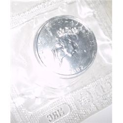 2002 Canadian $5 SILVER Maple Leaf .9999 1oz *PROOF - .9999 FINEST SILVER IN THE WORLD* Ebay Selling