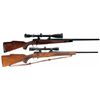 Image 1 : Two Winchester Model 70 Bolt Action Rifles