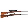 Image 1 : Two Winchester Model 70 Bolt Action Rifles