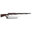 Image 1 : Rare Documented U.S. Springfield Lee Vertical Action Model 1875 Trapdoor Rifle with Bayonet