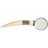 Image 5 : Attractive Engraved Winchester Model 1873 Lever Action Rifle and an Ivory Tusk Handled Magnifying Gl