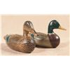 Image 1 : Pair of Magnificent Perdew Half Scale Mallard Decoys