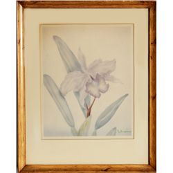 Tip Freeman, Iris, Watercolor