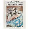 Salvador Dali, Aliyah, Rebirth of Israel / Gallery of Modern Art, Poster