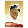 Hank Laventhol, Golden Grapes, Aquatint Etching