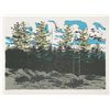 Image 1 : Neil Welliver, Maine Landscape, Lithograph