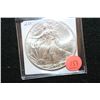 Image 1 : 2009 Silver Eagle $1