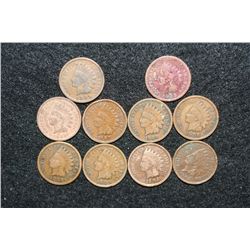 Indian Head Penny, various dates & conditions, lot of 10