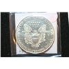 Image 2 : 1994 Silver Eagle $1