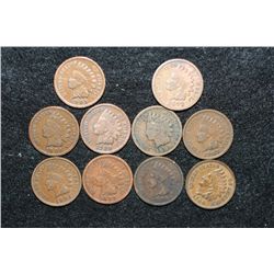 Indian Head Penny, various dates & conditions, lot of 10