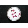 Image 2 : Loose Red Stone, lot of 12