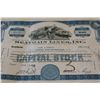 Image 1 : Seatrain Lines Inc. Stock Certificate dated 1953