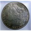 Image 2 : 1886 MORGAN DOLLAR ICG MS-64