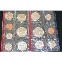 1981 US Mint Coin Set, P&D Mints, UNC