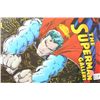 Image 1 : 1993 DC Comics; The Superman Gallery Edition