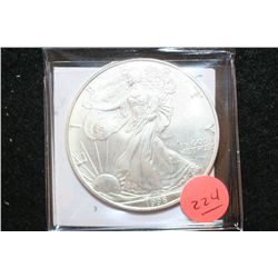 1996 Silver Eagle $1