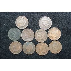 Indian Head Penny, various dates & conditions, lot of 10