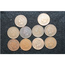 Indian Head Penny, various dates & conditions, lot of 10