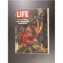 Life Magazine March 28, 1969 - The Threatened Orangutan