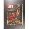 Image 1 : Life Magazine March 28, 1969 - The Threatened Orangutan