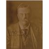 Image 1 : Theodore Roosevelt