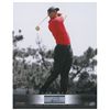 Image 1 : Tiger Woods