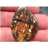 Image 2 : 69.30Cts BOULDER OPAL mwf2261