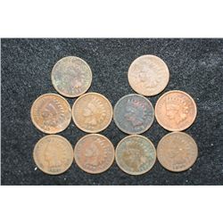 Indian Head Penny, various dates & conditions, lot of 10