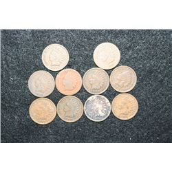 Indian Head Penny, various dates & conditions, lot of 10
