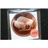 Image 1 : 2011 Buffalo Copper Round, .999 Fine 1 Oz.