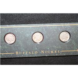 Buffalo Nickel, lot of 3, In A Display Case