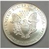 Image 2 : 1996 Silver Eagle