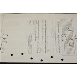 Packard Motor Car Co. Stock Certificate Dated 1951 {Est. 50-150}