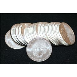 2010 Silver Eagle $1, Roll, Lot of 20