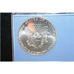 1989 Silver Eagle $1, "American Eagle Silver Dollar"