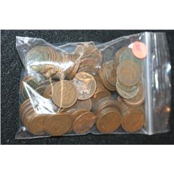 Indian Head Penny, Various Dates & Conditions, Lot of 100