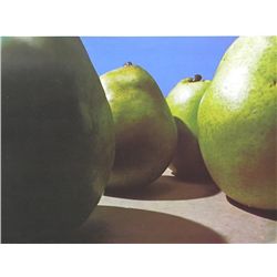 Peter Dechar Original Lithograph  Pears 