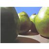 Image 1 : Peter Dechar Original Lithograph "Pears"