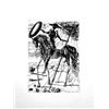 Image 1 : Dali "Don Quixote" Etching