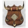 Image 1 : Antique Horn Rack With Mirror