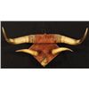 Image 1 : Antique Horn Rack