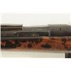 Image 8 : 1875 Dutch Beaumont Rifle
