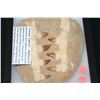 Image 2 : "Dinosaur Jawbone"-Mosasaurus Teeth. Cretaceous Period, Approx. 65 Million Years Old. Found in the S