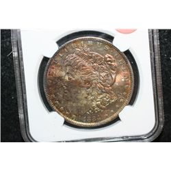 1884-O Silver Morgan $1, NGC Graded MS64