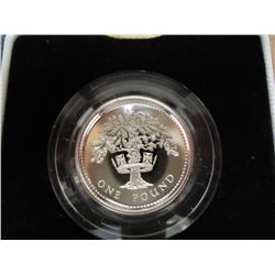1987 GREAT BRITAIN SILVER POUND PROOF