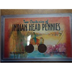 2 CENTURIES OF INDIAN HEAD CENTS (AS SHOWN)