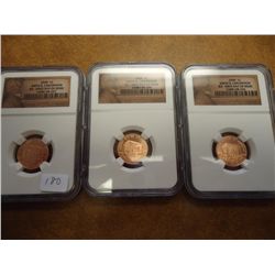 3-2009 BIRTH & CHILDHOOD LINCOLN CENTS NGC BU